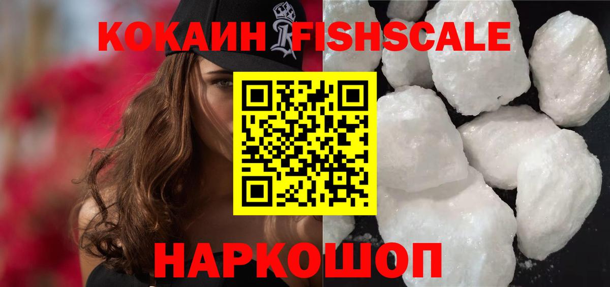 КОКАИН Fish Scale  КОКАИН Fish Scale  Вход с VPN  Узловая 