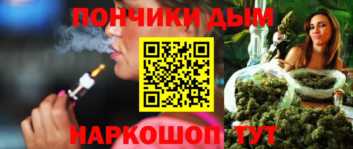 Каннабис планчик  Каннабис семена  Узловая  Конопля SATIVA & INDICA  Вход с VPN  Канабис OG Kush 